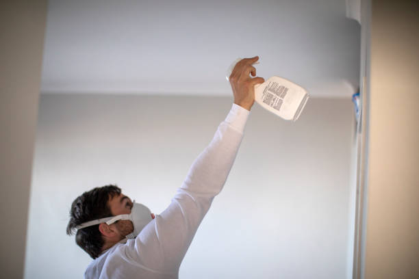 Best Basement Mold Remediation in Huntington, WV