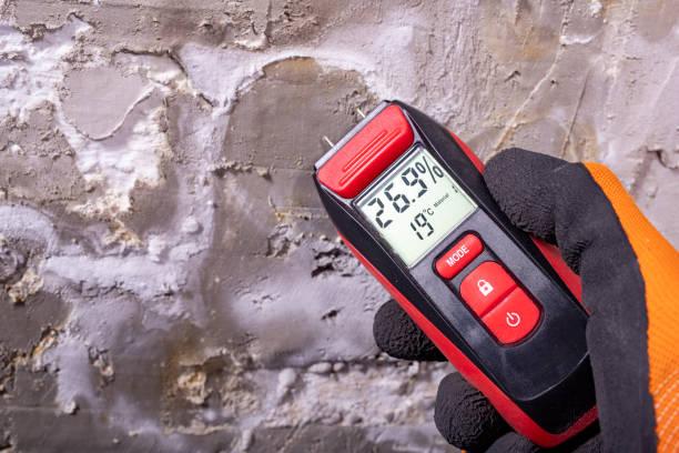 Professional Mold Remediation in Huntington, WV