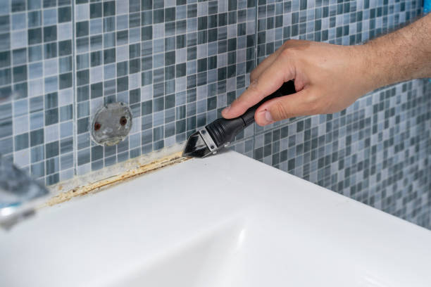 Best Mold Remediation for Specific Building Types in Huntington, WV