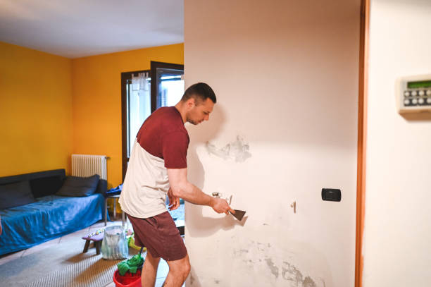 Best Commercial Mold Remediation in Huntington, WV